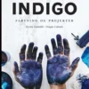 En Håndbog Om Indigo