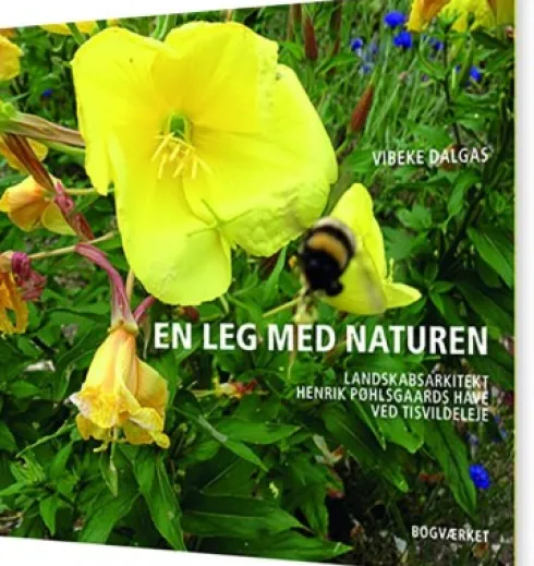 En Leg Med Naturen