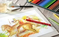 Faber-Castell - Akvarel Farveblyanter - Albrecht Dürer - 24 Stk