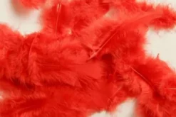 Fjer - 5-8 CM - 7 G - Rød