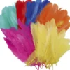 Fjer - L 8-14 CM - Assorterede Farver - 120Stk./ 1 Ps