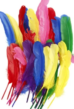 Fjer - L 20 CM - Forskellige Farver - 36 Stk