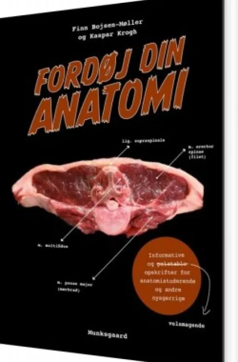 Fordøj Din Anatomi