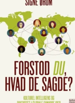 Forstod Du, Hvad De Sagde?