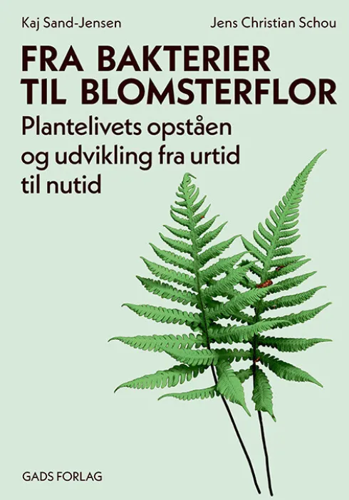 Fra Bakterier Til Blomsterflor
