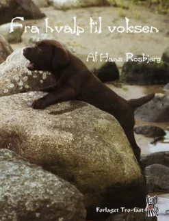 Fra Hvalp Til Voksen
