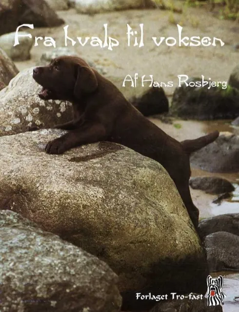 Fra Hvalp Til Voksen