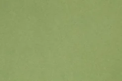 Fransk Karton - A4 - 210X297 MM - 160 G - Æble Grøn - 1 Stk