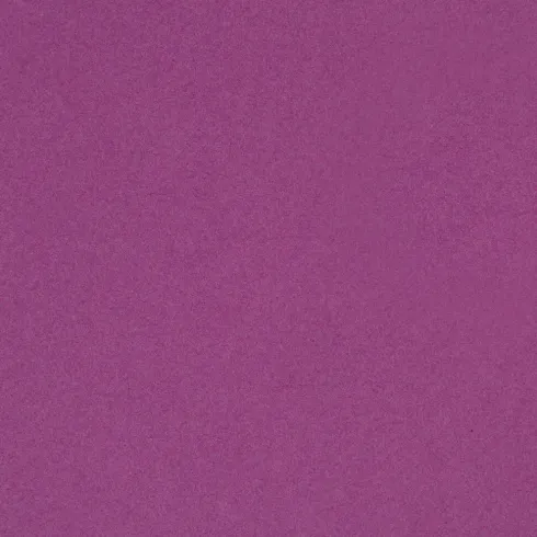 Fransk Karton - A4 - 210X297 MM - 160 G - Violet - 1 Stk