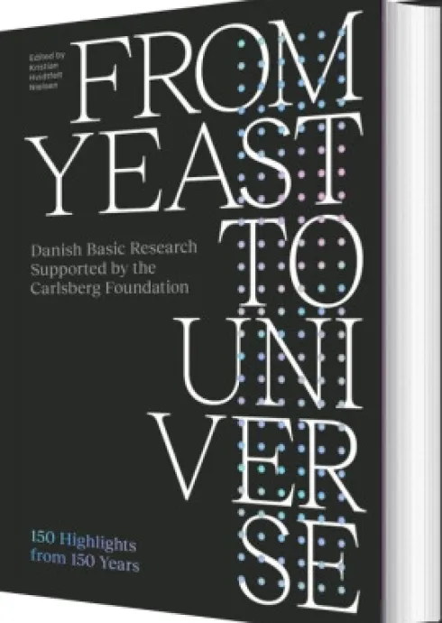 From Yeast To Universe