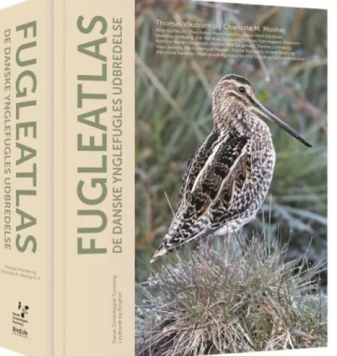 Fugleatlas