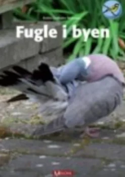 Fugle I Byen