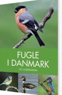 Fugle I Danmark