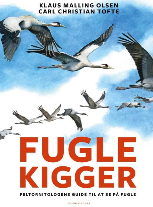 Fuglekigger
