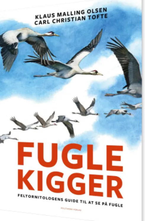 Fuglekigger