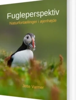 Fugleperspektiv