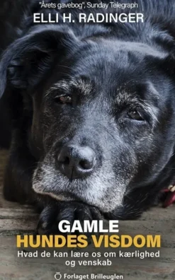 Gamle Hundes Visdom