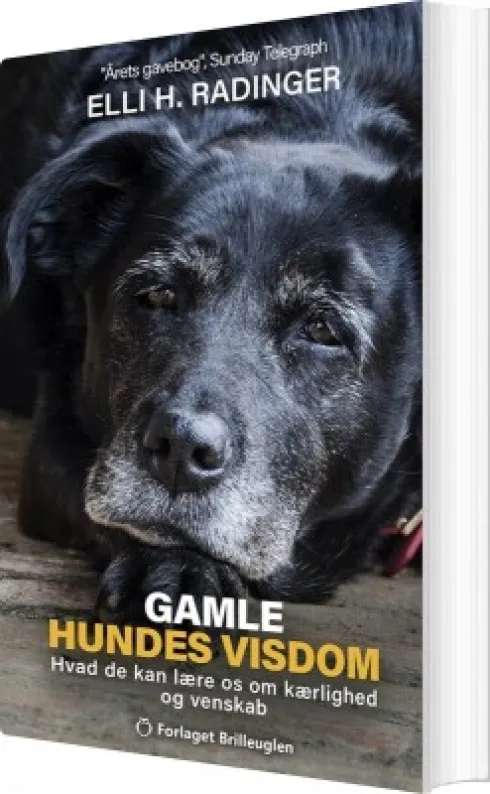 Gamle Hundes Visdom