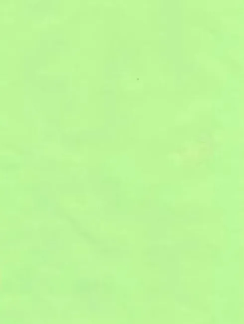 Gavepapir - Stor Rulle 150 M X 40 CM - Lime Lak