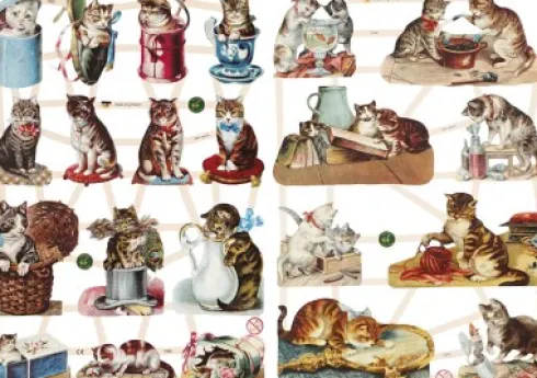 Glansbilleder - Katte - 2 Ark