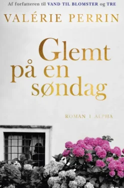 Glemt På En Søndag