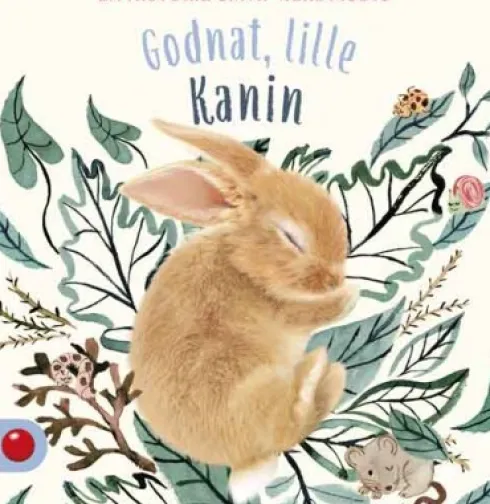 Godnat, Lille Kanin