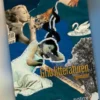 Grib Litteraturen I Gymnasiet