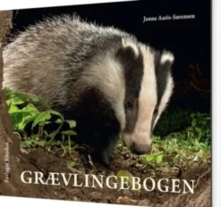 Grævlingebogen