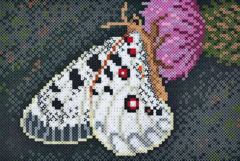 Hama Art - Sommerfugl Perlesæt - 10.000 Midi Perler - 3605