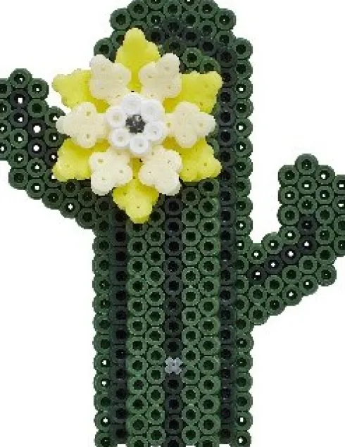 Hama Art - Sukkulenter Perlesæt - 6.000 Midi Perler - 3622