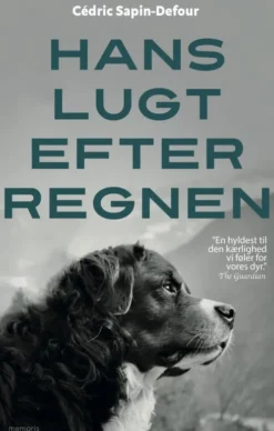 Hans Lugt Efter Regnen
