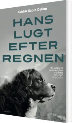 Hans Lugt Efter Regnen