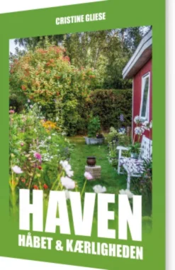 Haven, Håbet Og Kærligheden