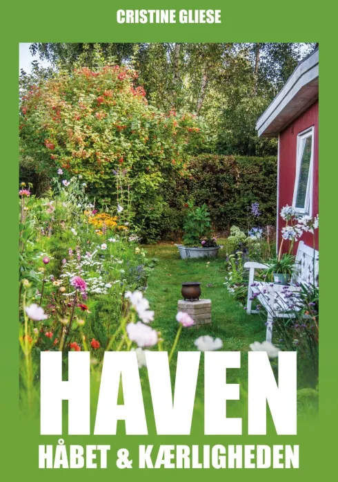 Haven, Håbet Og Kærligheden