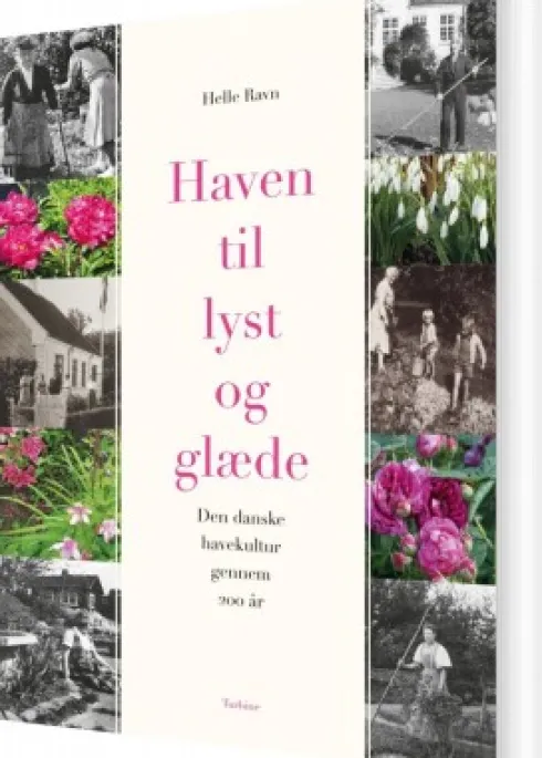 Haven Til Lyst Og Glæde