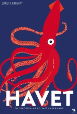 Havet