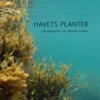 Havets Planter