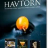 Havtorn