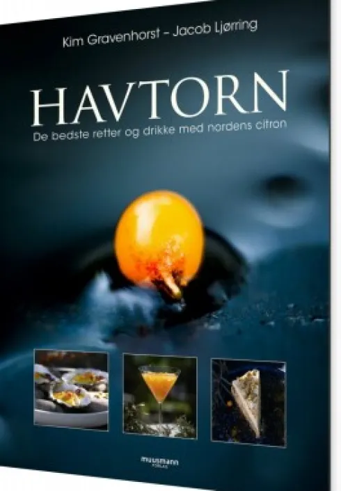Havtorn