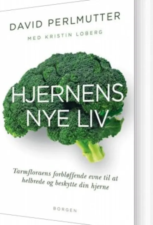 Hjernens Nye Liv