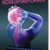 Hovedpineplanen