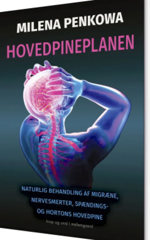 Hovedpineplanen
