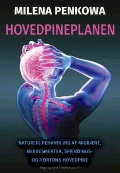 Hovedpineplanen