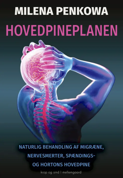 Hovedpineplanen