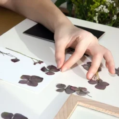 Huckleberry - Ramme Til Pressede Blomster - Kikkerland