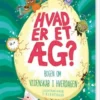 Hvad Er Et Æg?