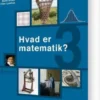 Hvad Er Matematik? 3