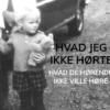 Hvad Jeg Ikke Hørte