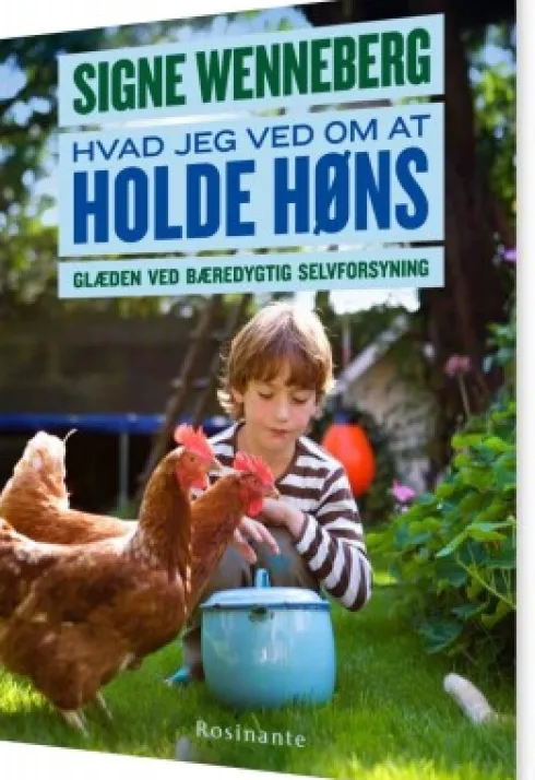 Hvad Jeg Ved Om At Holde Høns