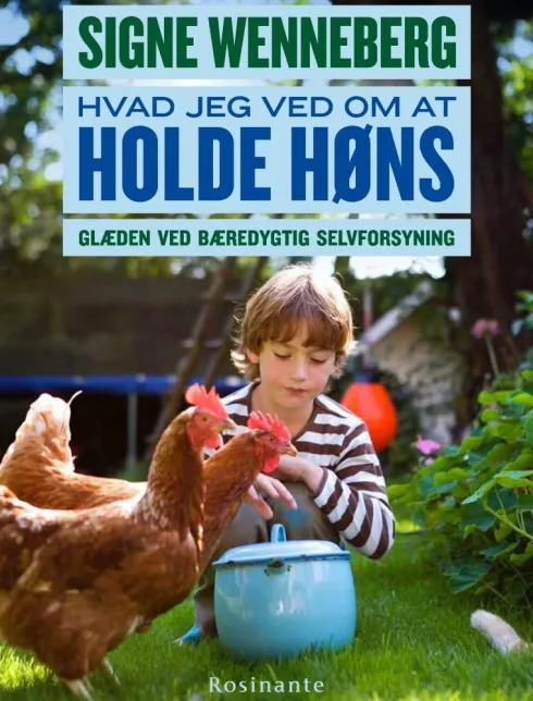Hvad Jeg Ved Om At Holde Høns